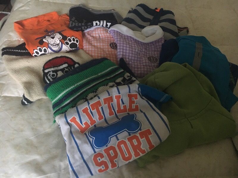 Doggie clothes. Size small
