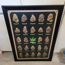 LARGE BEST BUDS
FRAMED PRINT
