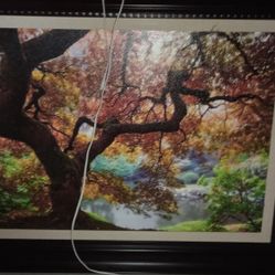 Large Photo Print Framed