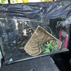 Reptile Cage 