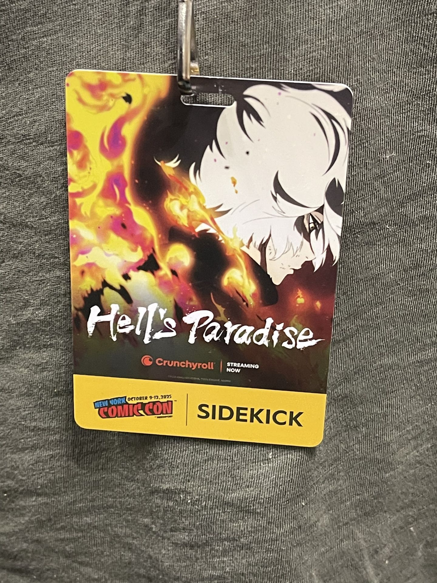 2x NYCC Comic Con 2025 Badges/Tickets For Sunday 