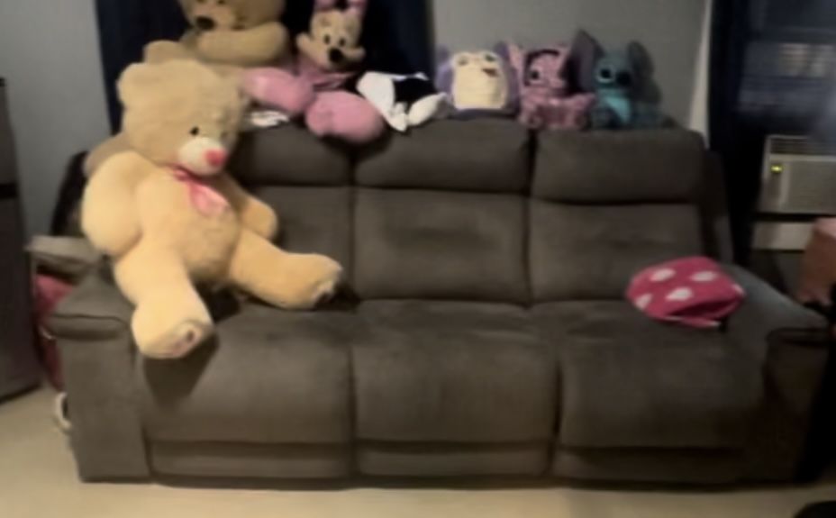 Electrical Recliner