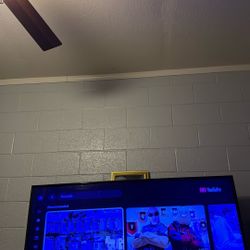 65 Inch Tv 