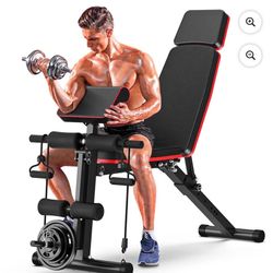 Bench Multi Position Adjustment 