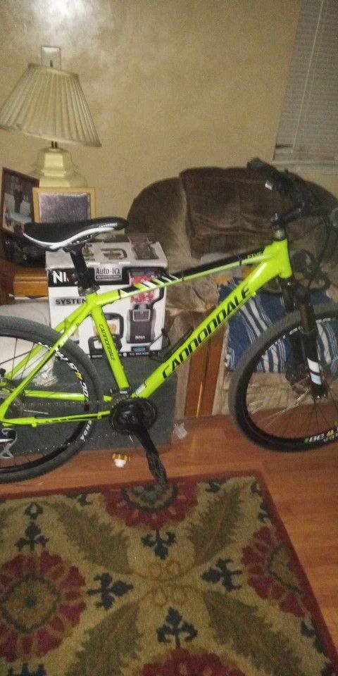 Mountain Bike