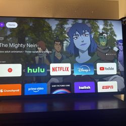 Sony Tv 55” Bravia 