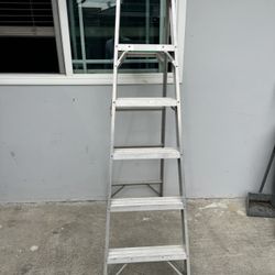 6 Ft Werner Aluminum  Ladder 