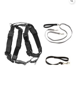 Two point control leash with the pet safe 3 in 1 harness