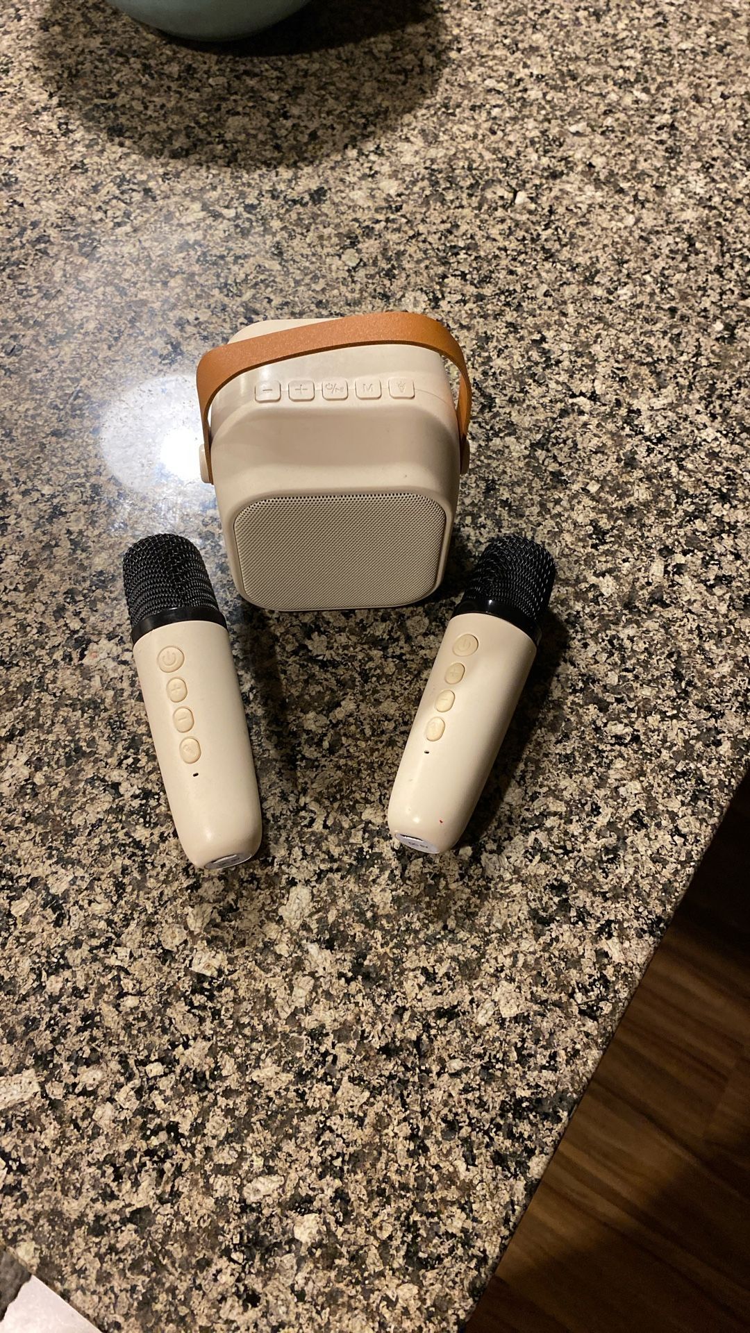 Bluetooth Speaker With Microphones