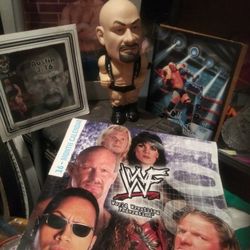 Steve Austin Stuff