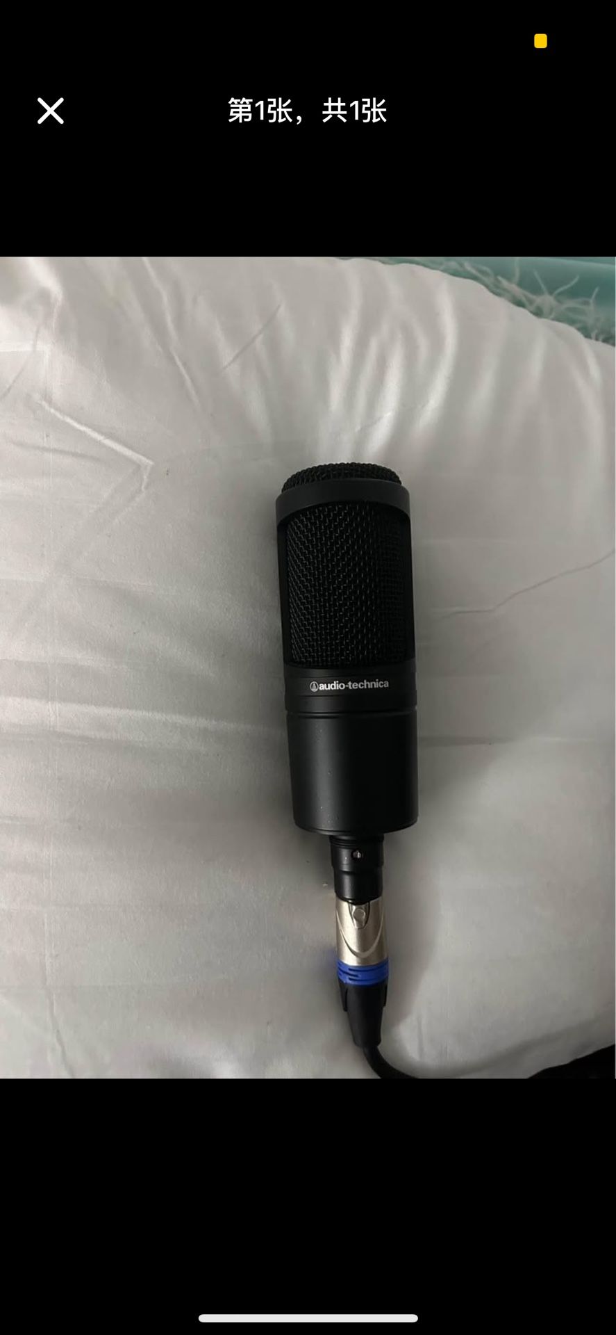 Audio-technica micphone At 2020
