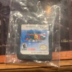 DS Mario brothers game