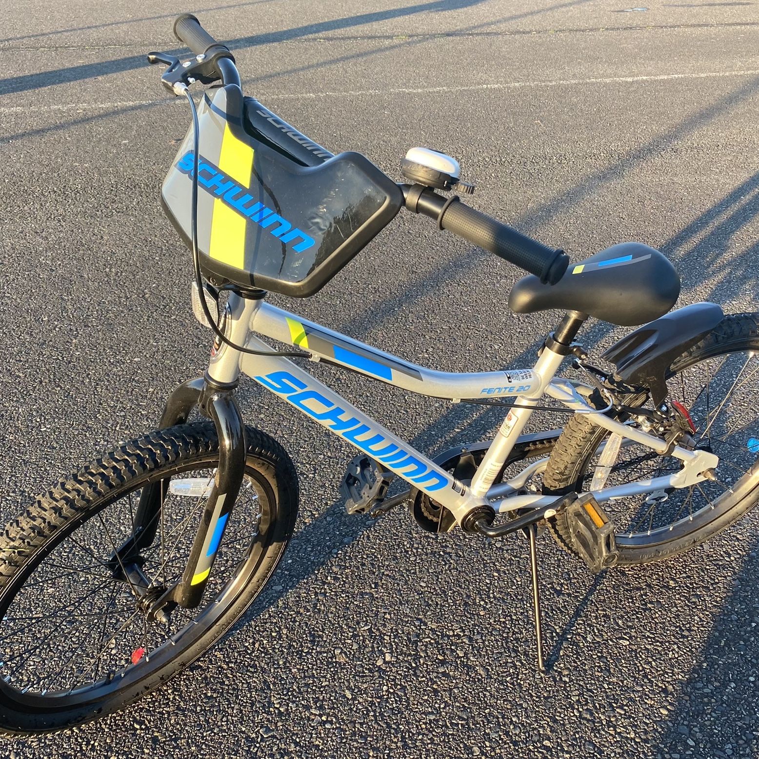 Schwinn Signature Boys Fenite 20