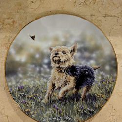 Danbury Mint THE THRILL OF THE CHASE Plate Yorkshire Terriers Paul Doyle 8 1/8-inch
