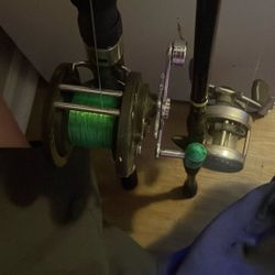 Two Fishing Poles 