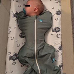 Chicco LullaGo Anywhere Portable Bassinet