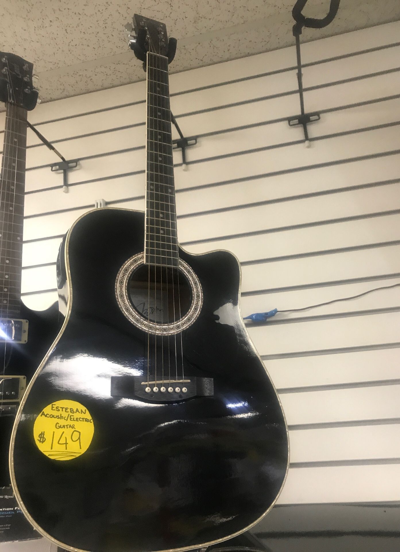 Esteban acoustic/electric guitar