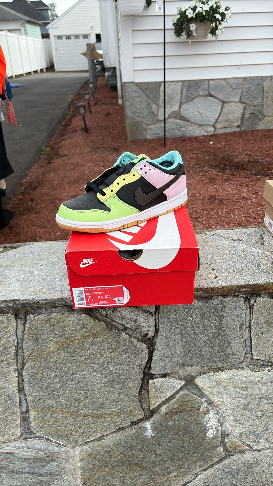 Nike Dunks Low SE