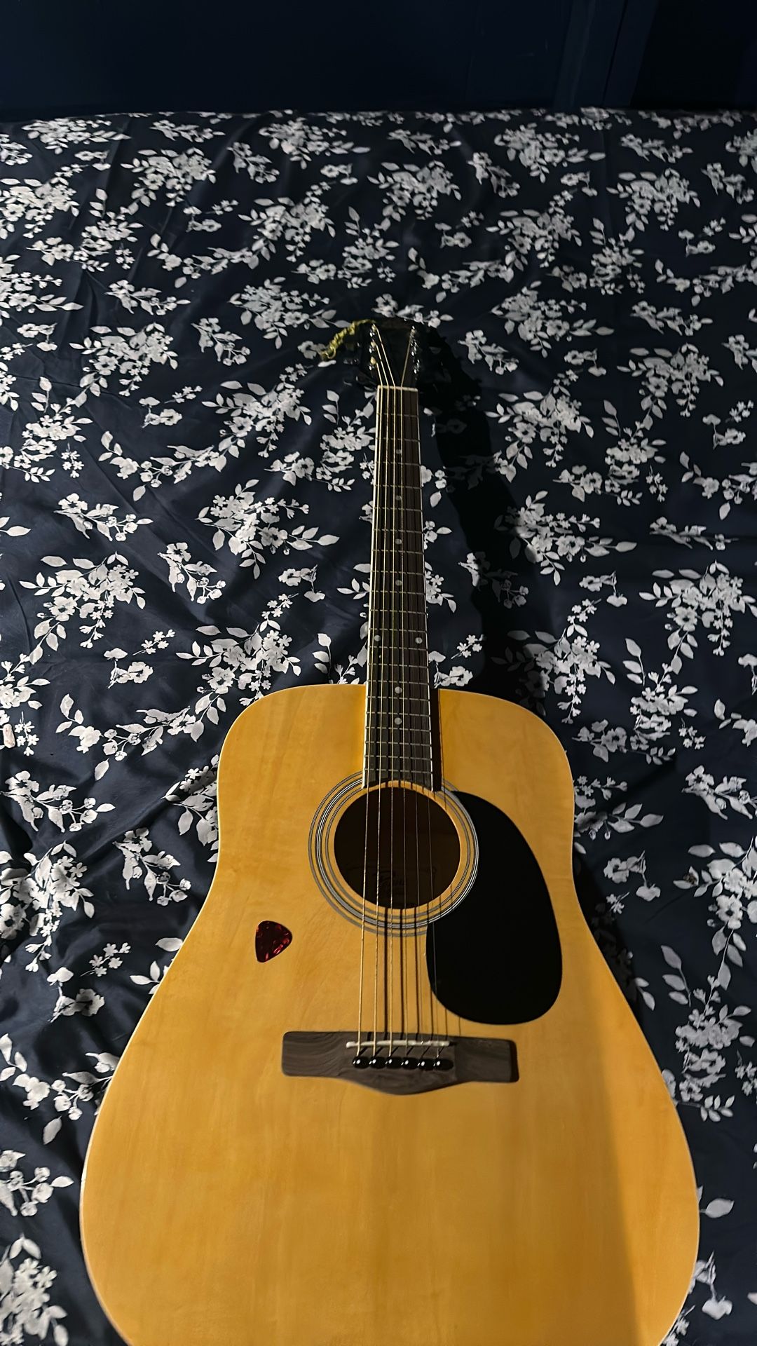 Rouge Model RD80PK