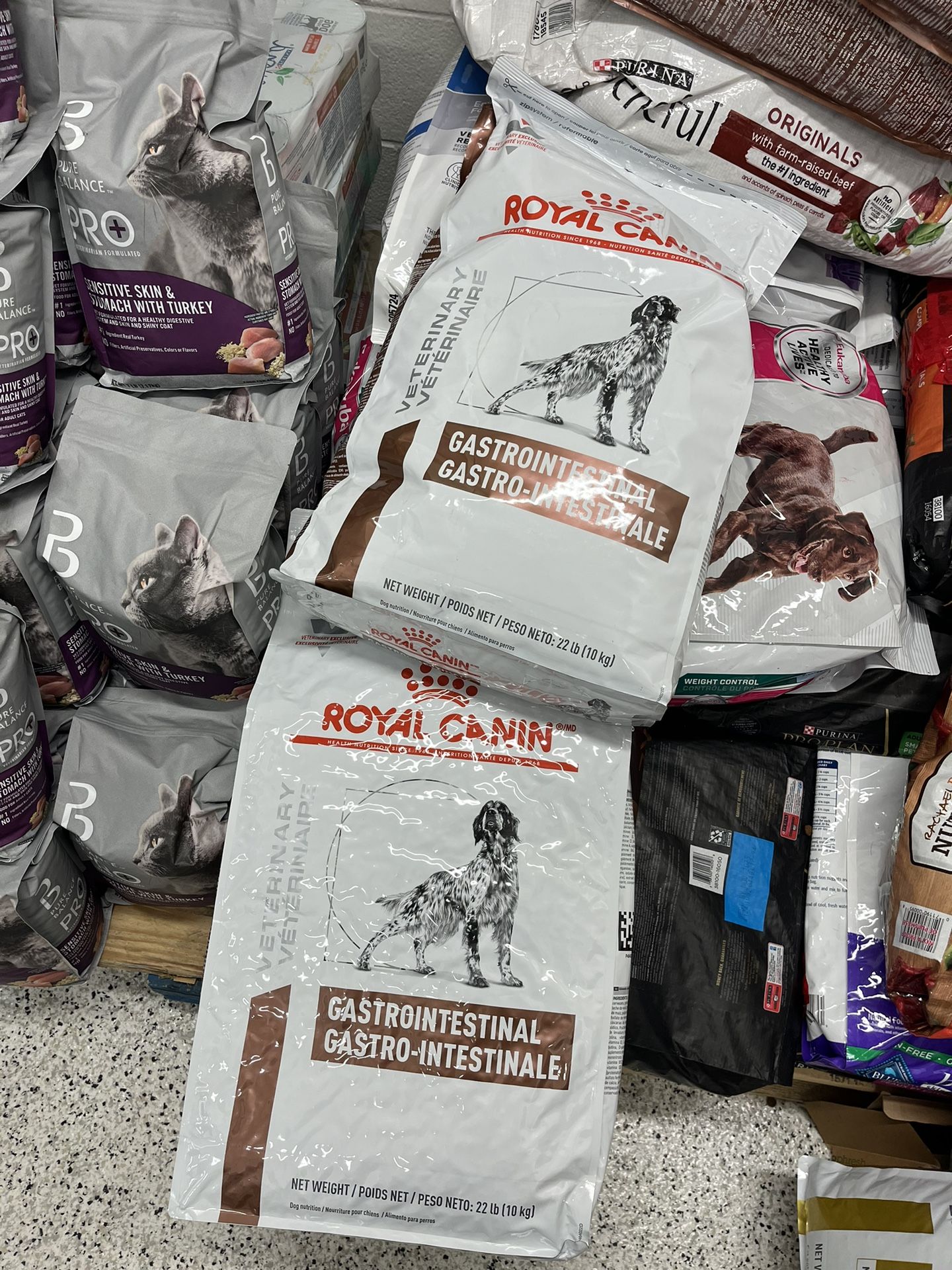 Royal Chain Dog Food!