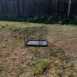 Dog Kennel