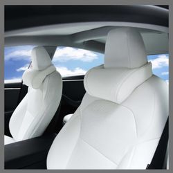 Tesla Neck Pillow 