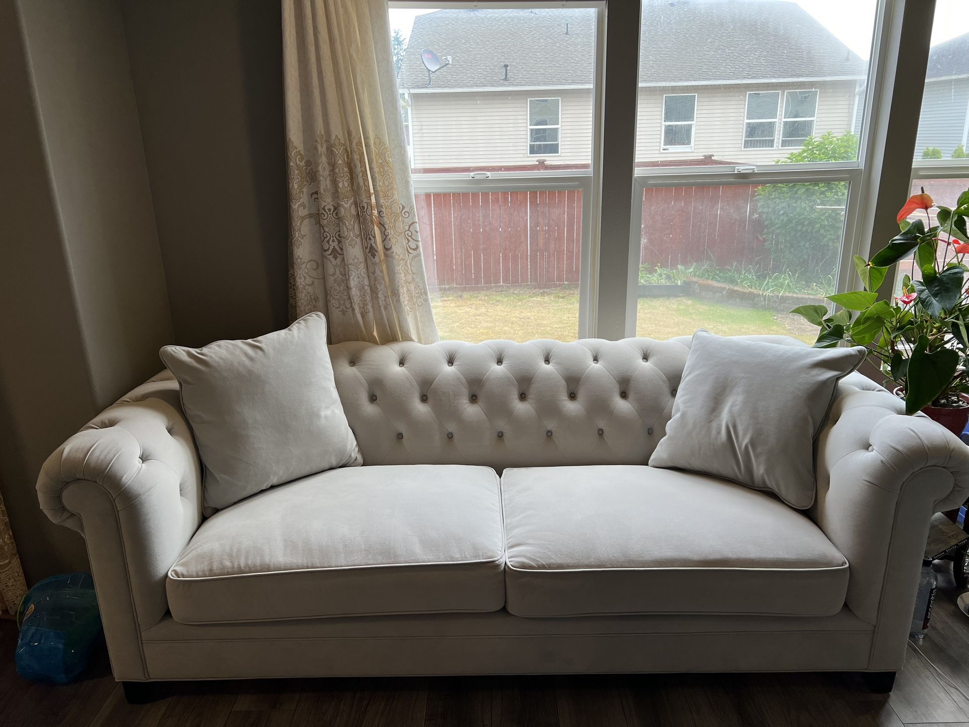 Two Modern Sofas