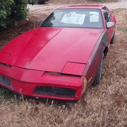 For Sale