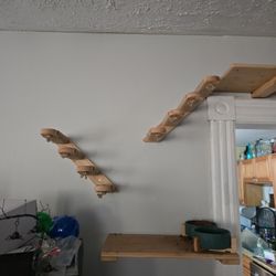 Cat Stairs Cat Tower