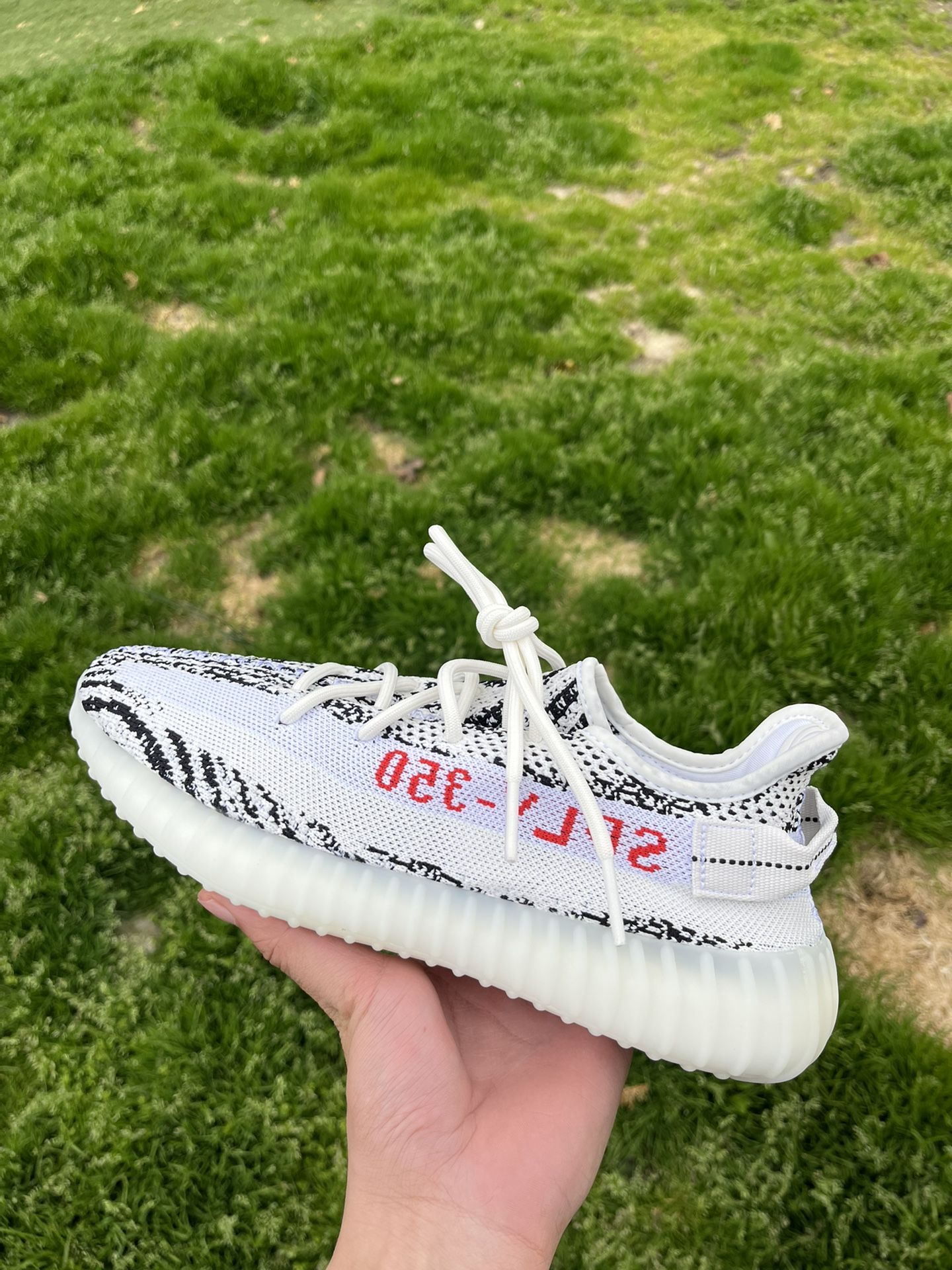 Yeezy 350 Zebra