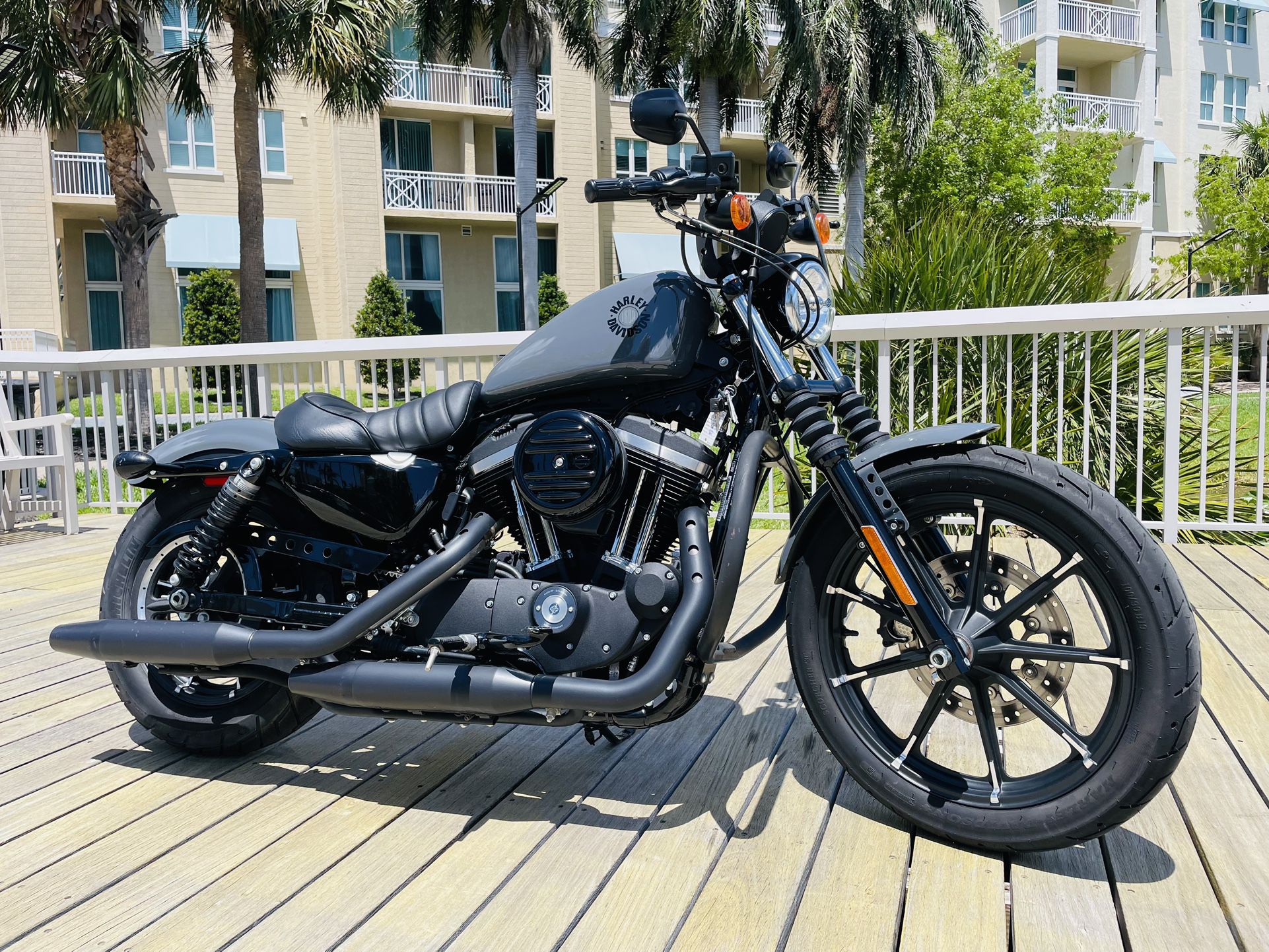 2022 Harley Davidson Iron 883 Only 81 Miles ** Yes Financing **