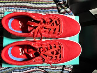Nike Sb Charge Cnvs Shoes