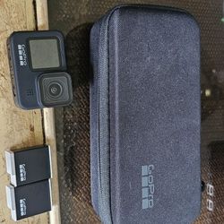 GoPro HERO9 Black Action Camera Bundle w/ Case, 3 Batteries, 256GB SD Card Mint