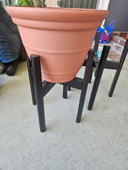 Plant Holder