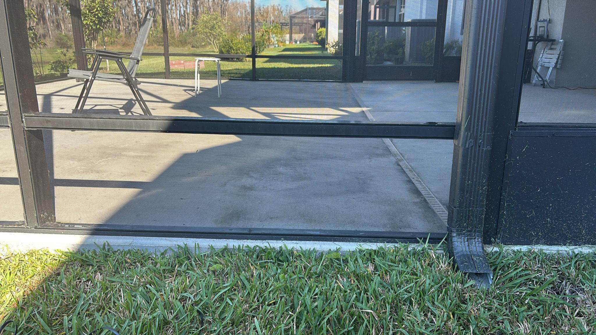 Pool Screen