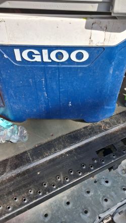 Igloo 62 Qt Cooler