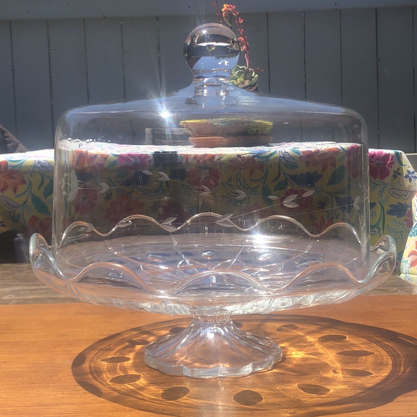 Princess house cake stand online