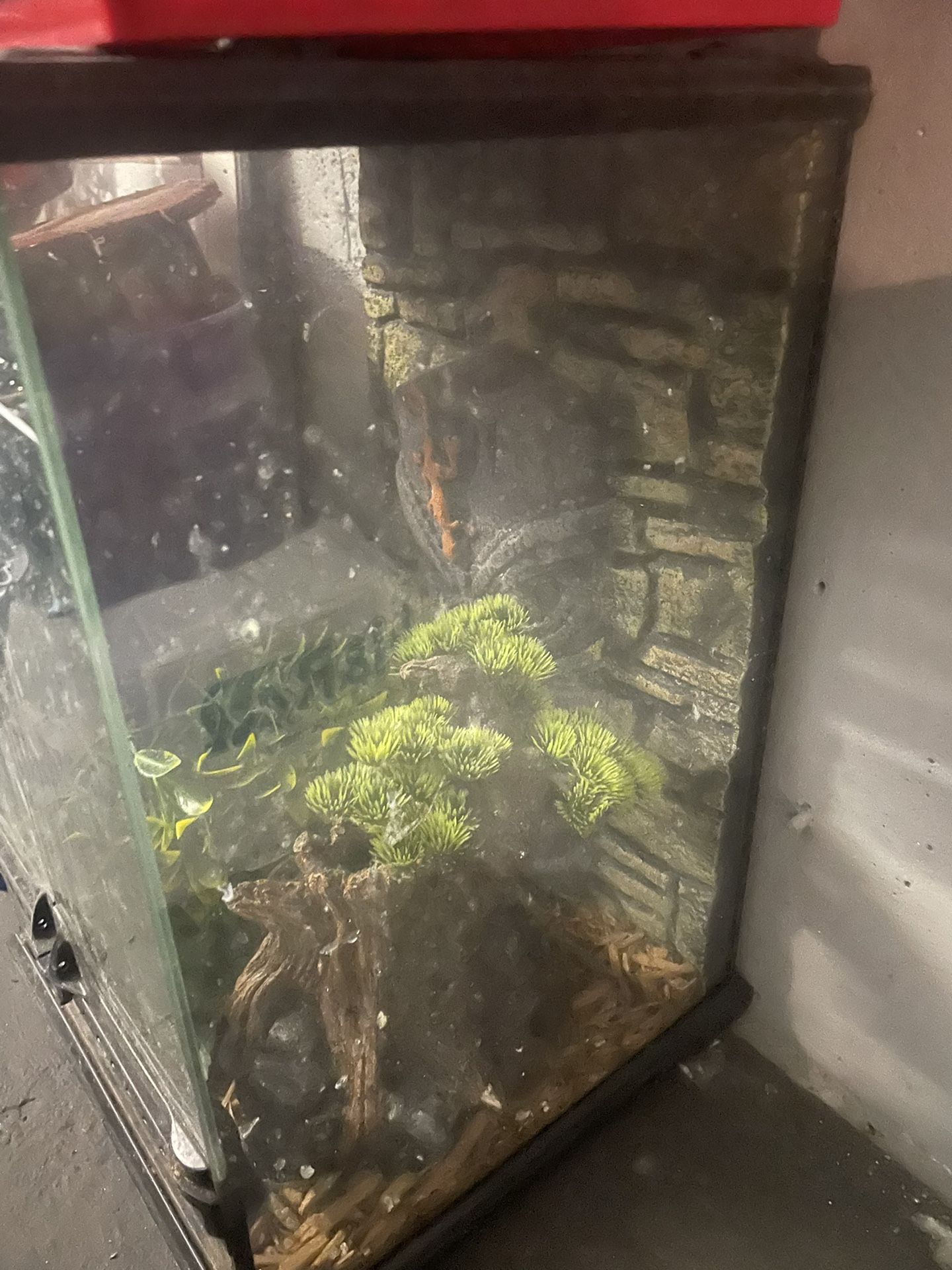 Eco Terra Reptile Pet Tank