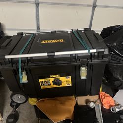 Dewalt Storage Box 