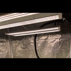 Led