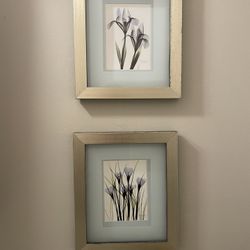 Two gold frames