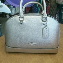 Coach platinum purse