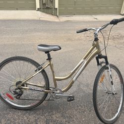 Infinity Bicycle 