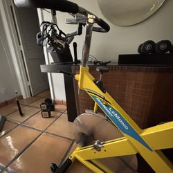 Lemond Upright Stationary Bicycle
