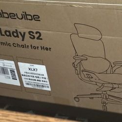Office Chair 