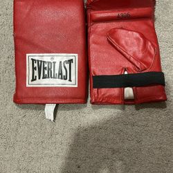 Everlast Sparring gloves