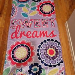 Cute Girl's Lightweight Sleeping Bag From Limited Too - Excellent Condition 