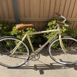 Single Speed Cruiser Bicycle with Road Tires