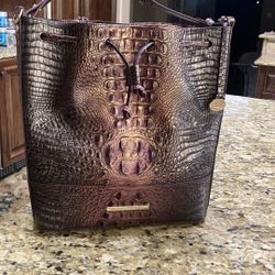 Brahmin Purse