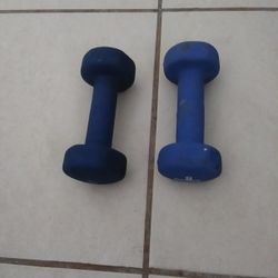 embark 5 Lbs Firm